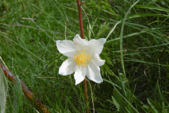 LArclusaz_12