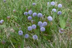 LArclusaz_16
