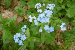LArclusaz_28