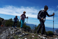 32785E2E-0B13-44D8-9699-FF3BCDCC972C