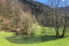 9481D719-D1B2-425D-9F92-44AE739DD238