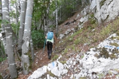 Bade-Colombier_02