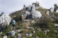 Bade-Colombier_04