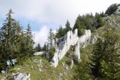 Bade-Colombier_08