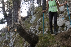 Bade-Colombier_22