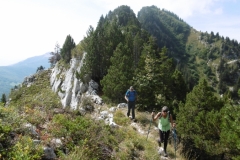 Bade-Colombier_24