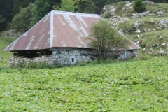 Bade-Colombier_29