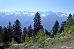 DSCF4578_v1