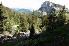 Belles-ombres-Pinet_18