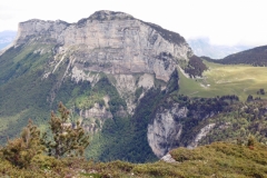 Belles-ombres-Pinet_33