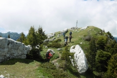 Belles-ombres-Pinet_35