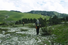 Belles-ombres-Pinet_37