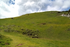 Belles-ombres-Pinet_42