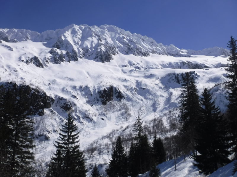 Grand Miceau