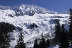 Grand Miceau