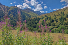 etape-4_58