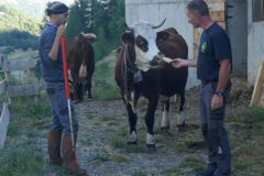 Ferme des Etroits