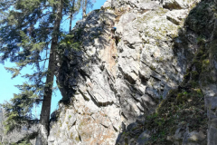 IMG-20210420-WA0000