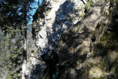IMG-20210420-WA0003