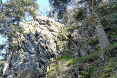 IMG-20210420-WA0004