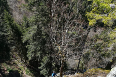 IMG-20210420-WA0008