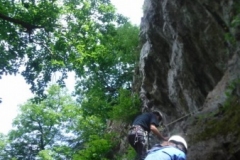 brossage_05