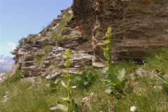 sollières-2019-110-Small