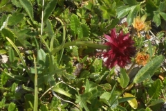 sollières-2019-54-Small