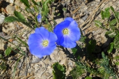 sollières-2019-57-Small