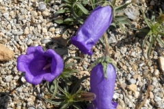 sollières-2019-62-Small