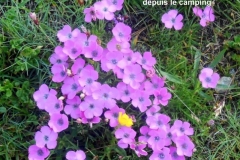 sollières-2019-70-Small