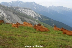 sollières-2019-71-Small