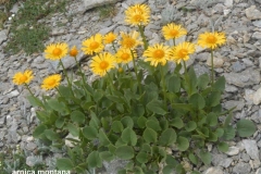 sollières-2019-76-Small