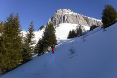 Tour-Cornettes-de-Bises_03
