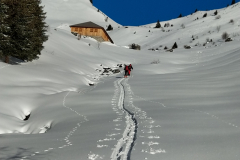 Tour-Cornettes-de-Bises_04