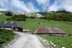 Chapeau-de-Napoléon_05