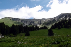 Chapeau-de-Napoléon_34