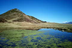 Chapotet-lac-des-grenouilles-013