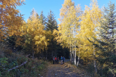 Chapotet-lac-des-grenouilles-015