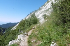 charmant-som-06