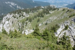 charmant-som-17