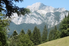 charmant-som-34