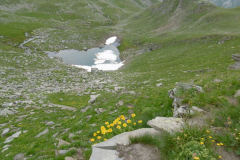 cheval-noir-32.resized