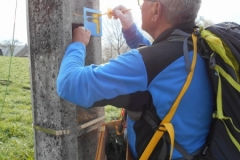 Trinité_Cochette_Montmayeur_03_small