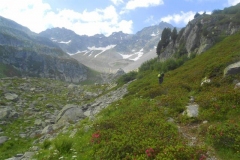 col-de-la-Bourbière_06-Small