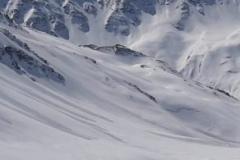 IMG-20210401-WA0006