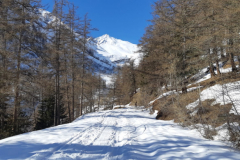 Col-dEmy_48