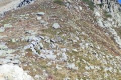 cols-montjoie-et-sarvatan-4.resized