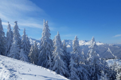 Le-Collet_Claran_28