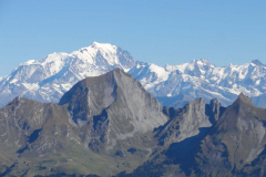 cret-mouches-13